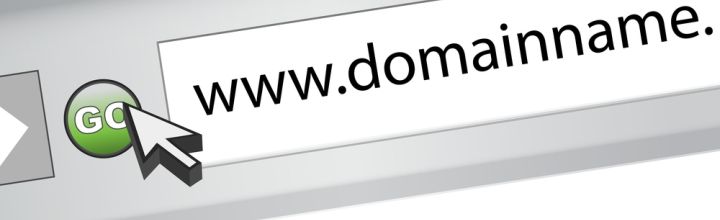 To give yourself the best chance possible at seeing a viable return on investment you need to take a look at the domain names you’ve been purchasing or a considering.